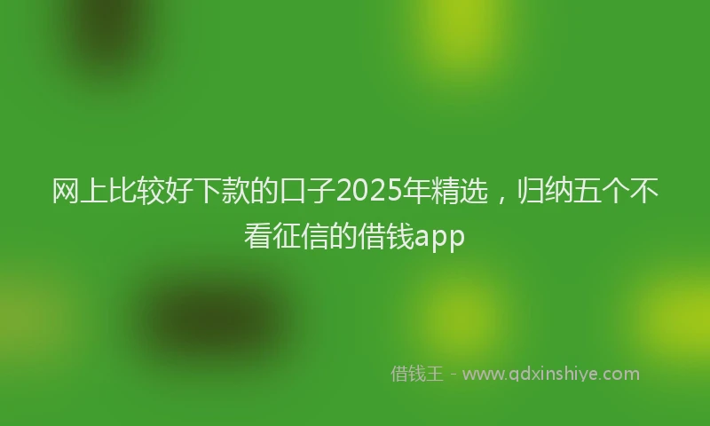 网上比较好下款的口子2025年精选，归纳五个不看征信的借钱app
