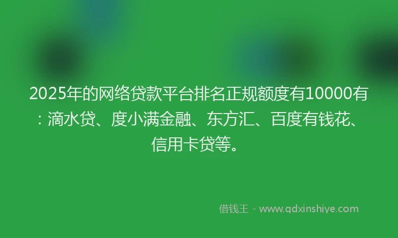 2025年的网络贷款平台排名正规额度有10000有：滴水贷、度小满金融、东方汇、百度有钱花、信用卡贷等。