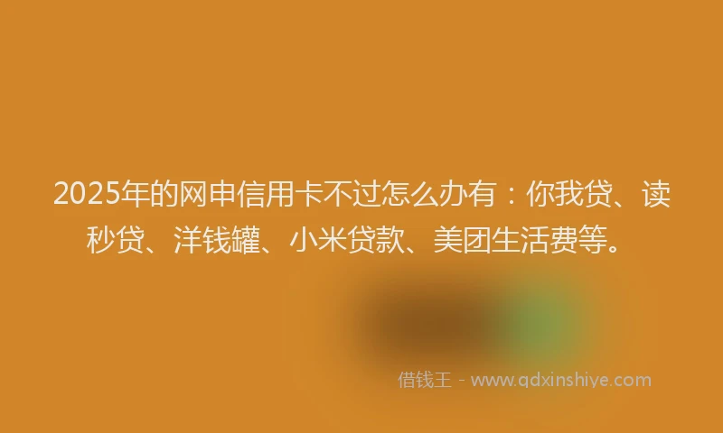 2025年的网申信用卡不过怎么办有：你我贷、读秒贷、洋钱罐、小米贷款、美团生活费等。