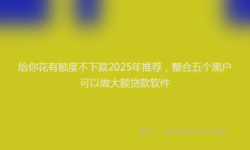 给你花有额度不下款2025年推荐，整合五个黑户可以做大额贷款软件