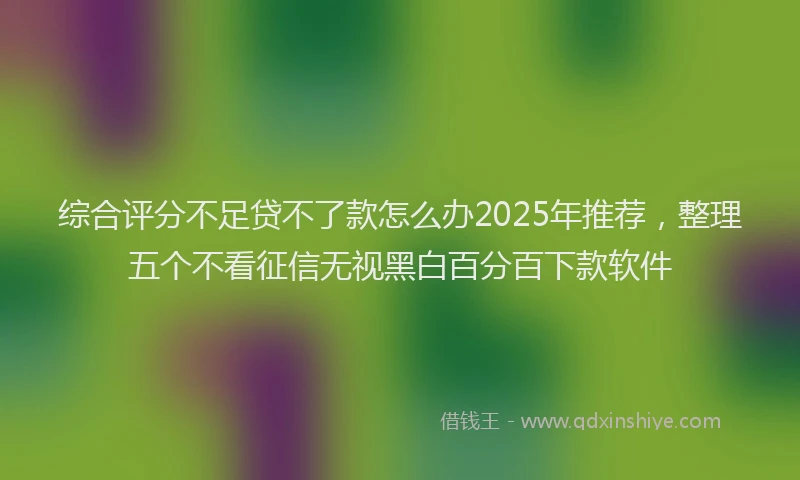 综合评分不足贷不了款怎么办2025年推荐，整理五个不看征信无视黑白百分百下款软件