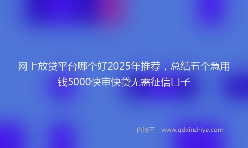 网上放贷平台哪个好2025年推荐，总结五个急用钱5000快审快贷无需征信口子