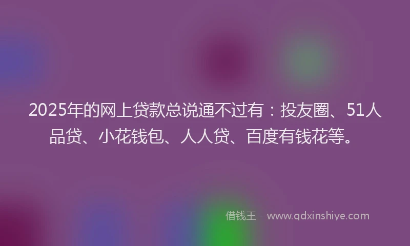 2025年的网上贷款总说通不过有：投友圈、51人品贷、小花钱包、人人贷、百度有钱花等。