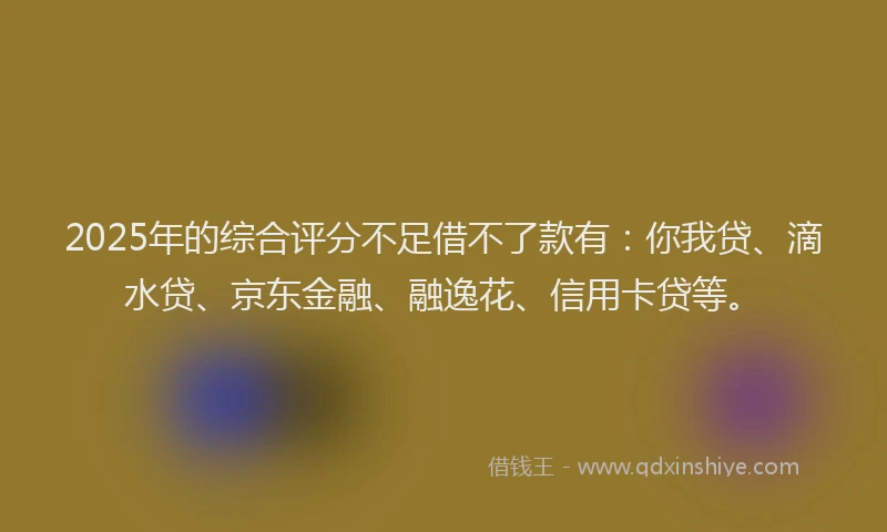 2025年的综合评分不足借不了款有：你我贷、滴水贷、京东金融、融逸花、信用卡贷等。