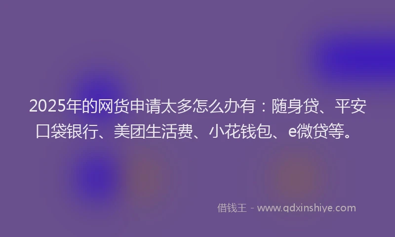 2025年的网货申请太多怎么办有：随身贷、平安口袋银行、美团生活费、小花钱包、e微贷等。