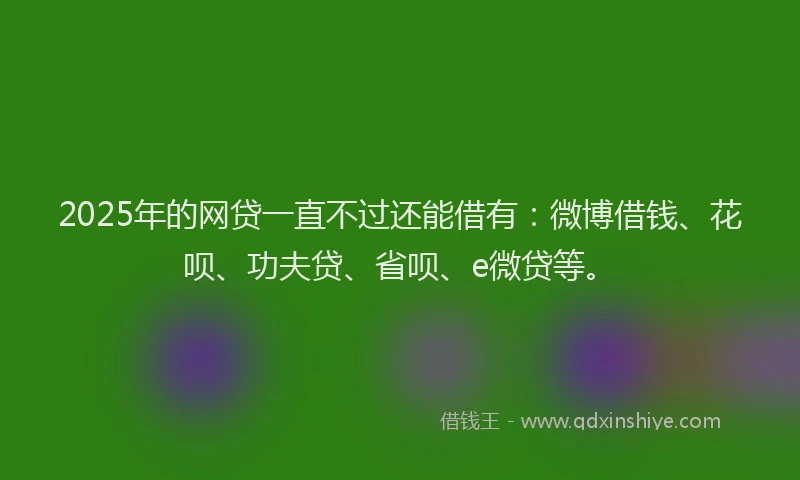 2025年的网贷一直不过还能借有：微博借钱、花呗、功夫贷、省呗、e微贷等。