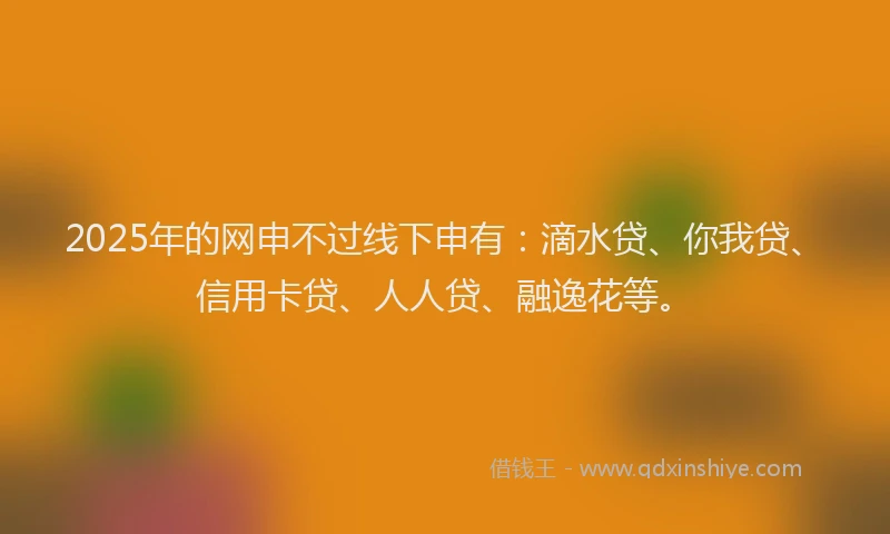 2025年的网申不过线下申有：滴水贷、你我贷、信用卡贷、人人贷、融逸花等。