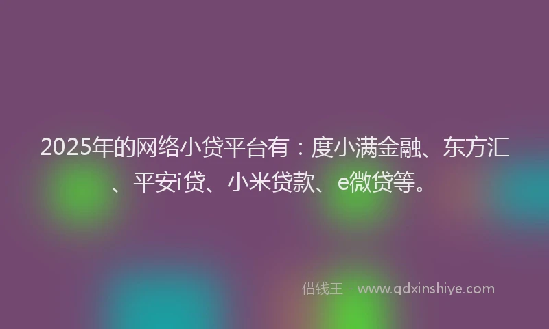 2025年的网络小贷平台有：度小满金融、东方汇、平安i贷、小米贷款、e微贷等。