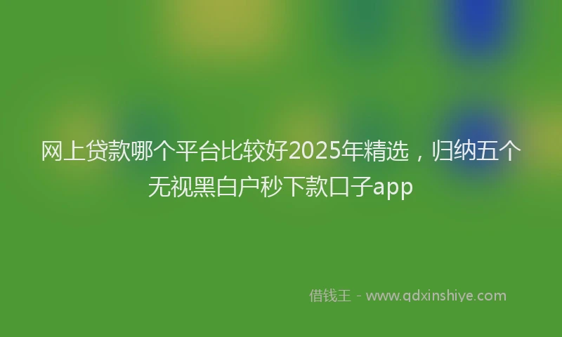 网上贷款哪个平台比较好2025年精选，归纳五个无视黑白户秒下款口子app