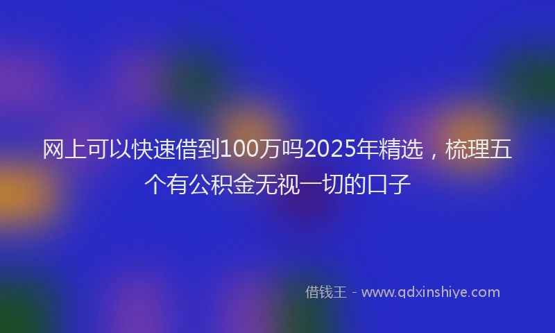 网上可以快速借到100万吗2025年精选，梳理五个有公积金无视一切的口子
