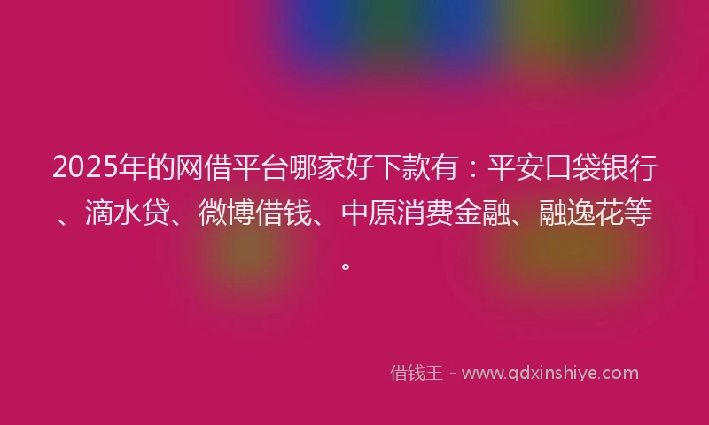 2025年的网借平台哪家好下款有：平安口袋银行、滴水贷、微博借钱、中原消费金融、融逸花等。