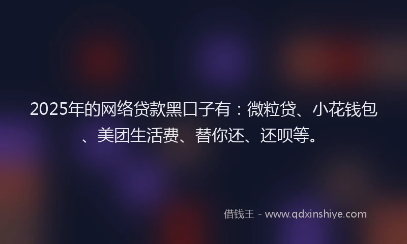2025年的网络贷款黑口子有：微粒贷、小花钱包、美团生活费、替你还、还呗等。