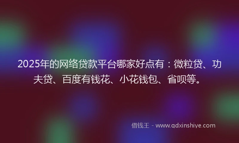 2025年的网络贷款平台哪家好点有：微粒贷、功夫贷、百度有钱花、小花钱包、省呗等。