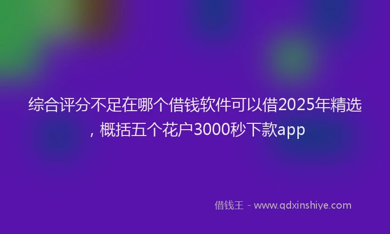 综合评分不足在哪个借钱软件可以借2025年精选，概括五个花户3000秒下款app