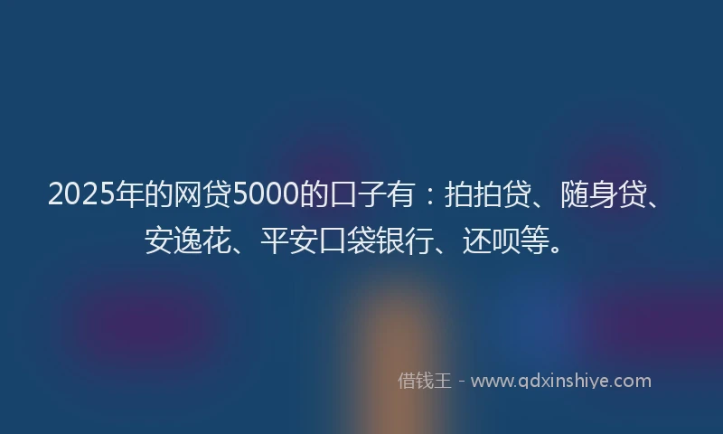 2025年的网贷5000的口子有：拍拍贷、随身贷、安逸花、平安口袋银行、还呗等。
