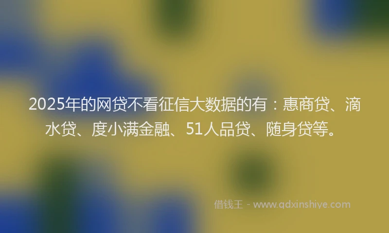 2025年的网贷不看征信大数据的有：惠商贷、滴水贷、度小满金融、51人品贷、随身贷等。