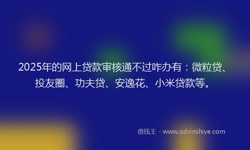2025年的网上贷款审核通不过咋办有：微粒贷、投友圈、功夫贷、安逸花、小米贷款等。