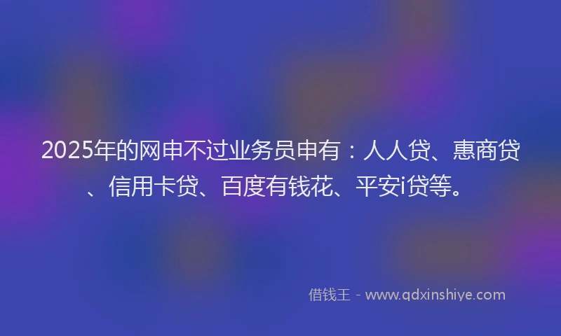 2025年的网申不过业务员申有：人人贷、惠商贷、信用卡贷、百度有钱花、平安i贷等。