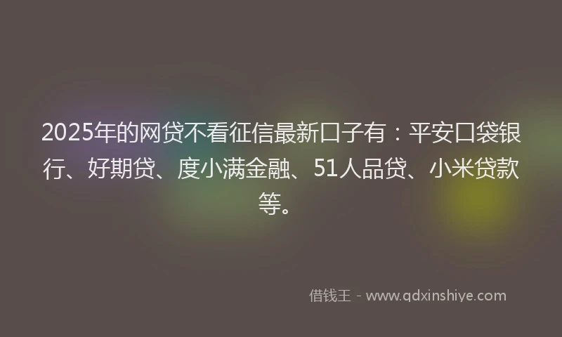 2025年的网贷不看征信最新口子有：平安口袋银行、好期贷、度小满金融、51人品贷、小米贷款等。
