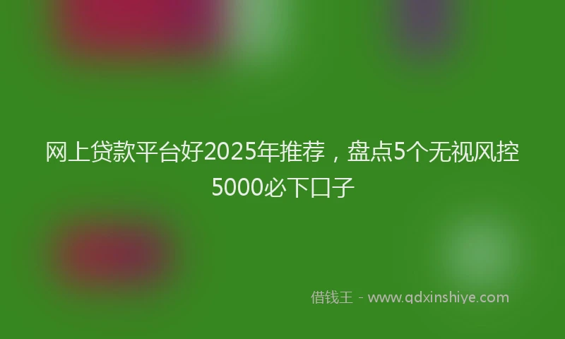 网上贷款平台好2025年推荐，盘点5个无视风控5000必下口子