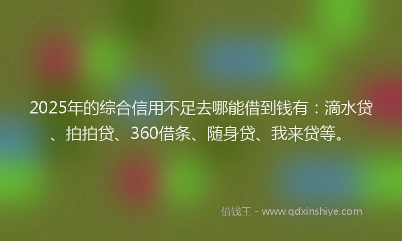2025年的综合信用不足去哪能借到钱有：滴水贷、拍拍贷、360借条、随身贷、我来贷等。