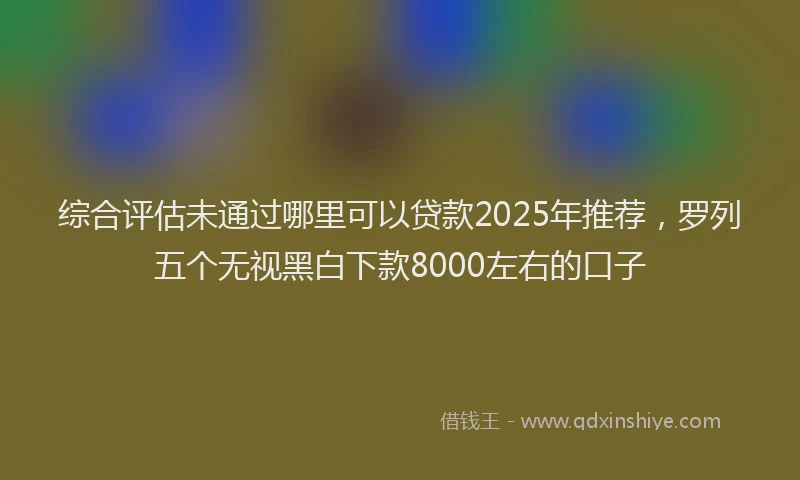 综合评估未通过哪里可以贷款2025年推荐，罗列五个无视黑白下款8000左右的口子
