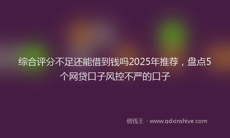 综合评分不足还能借到钱吗2025年推荐，盘点5个网贷口子风控不严的口子