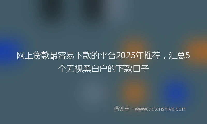 网上贷款最容易下款的平台2025年推荐，汇总5个无视黑白户的下款口子