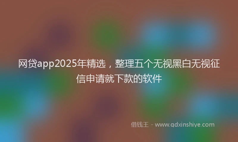 网贷app2025年精选，整理五个无视黑白无视征信申请就下款的软件
