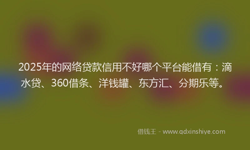2025年的网络贷款信用不好哪个平台能借有:滴水贷、360借条、洋钱罐、东方汇、分期乐等。