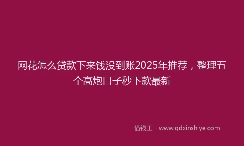 网花怎么贷款下来钱没到账2025年推荐，整理五个高炮口子秒下款最新