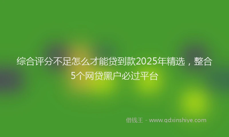 综合评分不足怎么才能贷到款2025年精选，整合5个网贷黑户必过平台