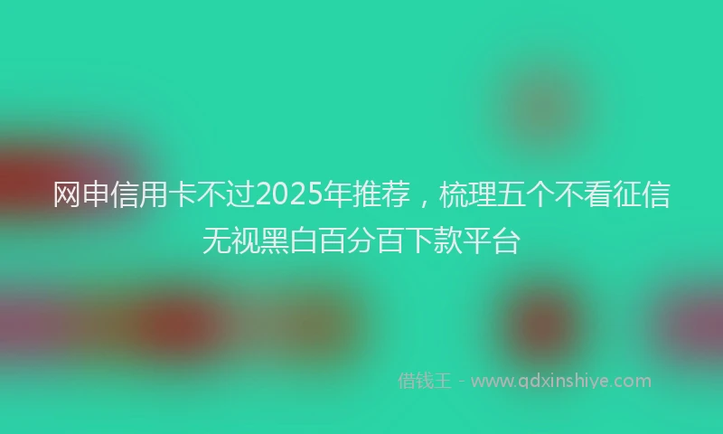 网申信用卡不过2025年推荐，梳理五个不看征信无视黑白百分百下款平台