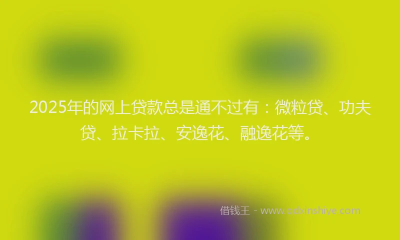 2025年的网上贷款总是通不过有：微粒贷、功夫贷、拉卡拉、安逸花、融逸花等。