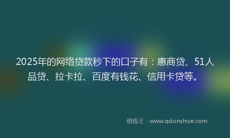2025年的网络贷款秒下的口子有：惠商贷、51人品贷、拉卡拉、百度有钱花、信用卡贷等。