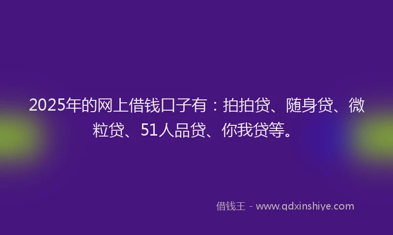 2025年的网上借钱口子有：拍拍贷、随身贷、微粒贷、51人品贷、你我贷等。