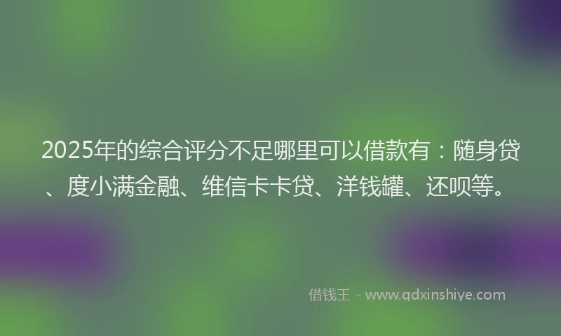 2025年的综合评分不足哪里可以借款有：随身贷、度小满金融、维信卡卡贷、洋钱罐、还呗等。