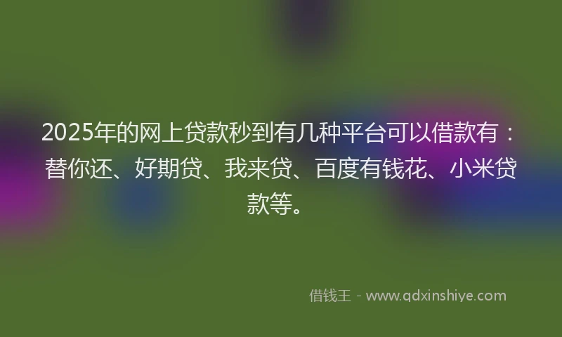 2025年的网上贷款秒到有几种平台可以借款有：替你还、好期贷、我来贷、百度有钱花、小米贷款等。