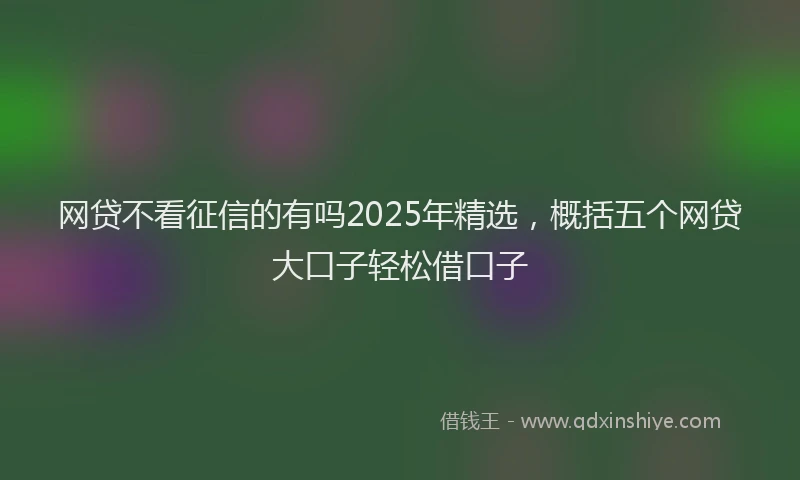 网贷不看征信的有吗2025年精选，概括五个网贷大口子轻松借口子