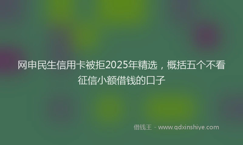 网申民生信用卡被拒2025年精选，概括五个不看征信小额借钱的口子
