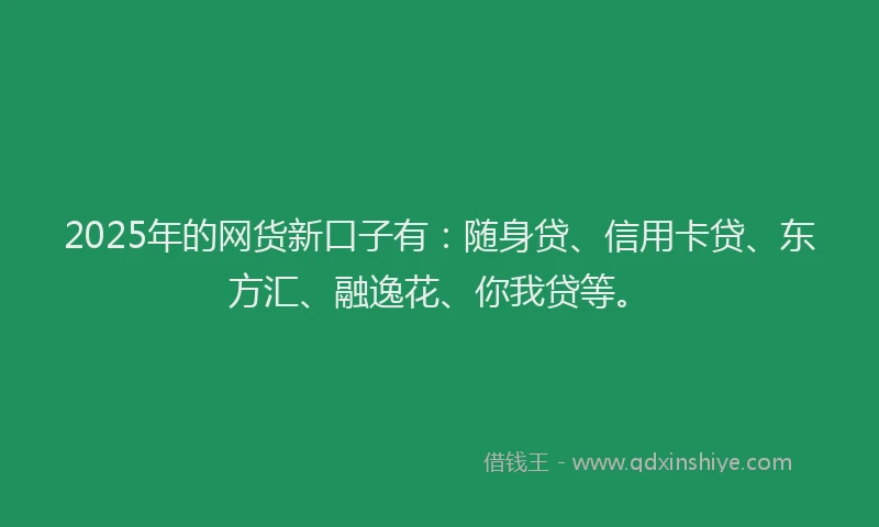 2025年的网货新口子有：随身贷、信用卡贷、东方汇、融逸花、你我贷等。