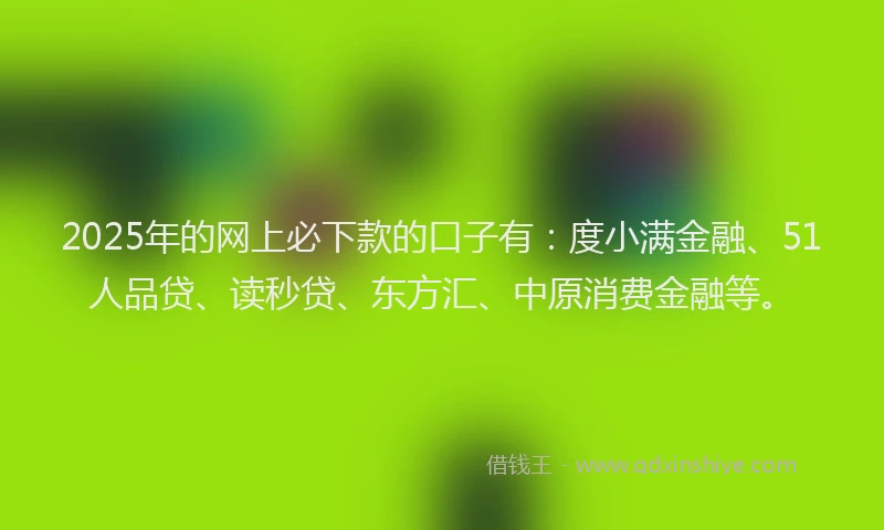 2025年的网上必下款的口子有：度小满金融、51人品贷、读秒贷、东方汇、中原消费金融等。