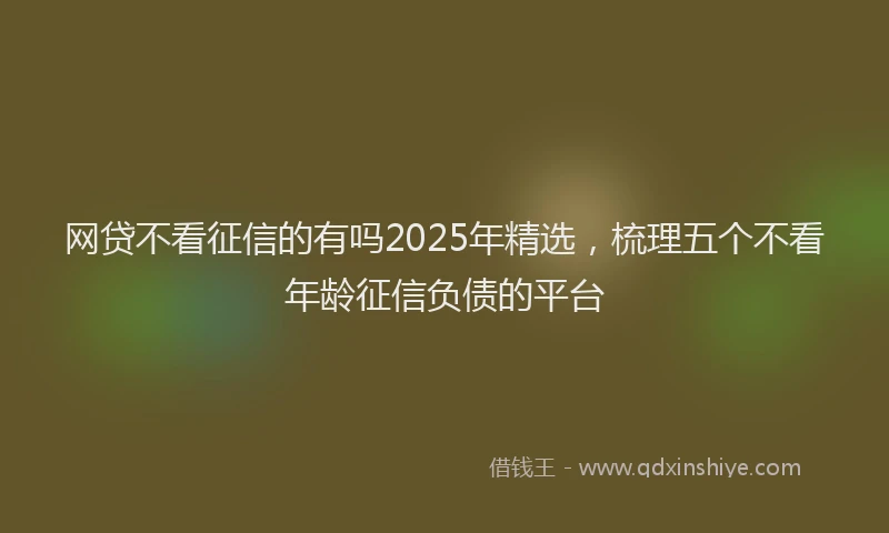 网贷不看征信的有吗2025年精选，梳理五个不看年龄征信负债的平台