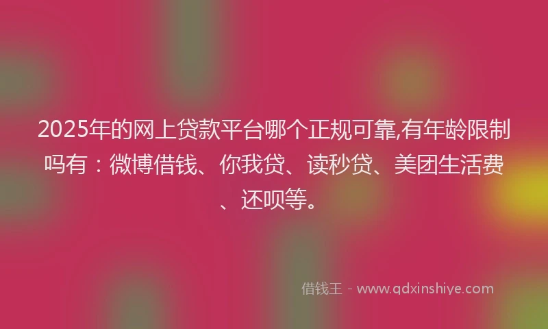 2025年的网上贷款平台哪个正规可靠,有年龄限制吗有：微博借钱、你我贷、读秒贷、美团生活费、还呗等。