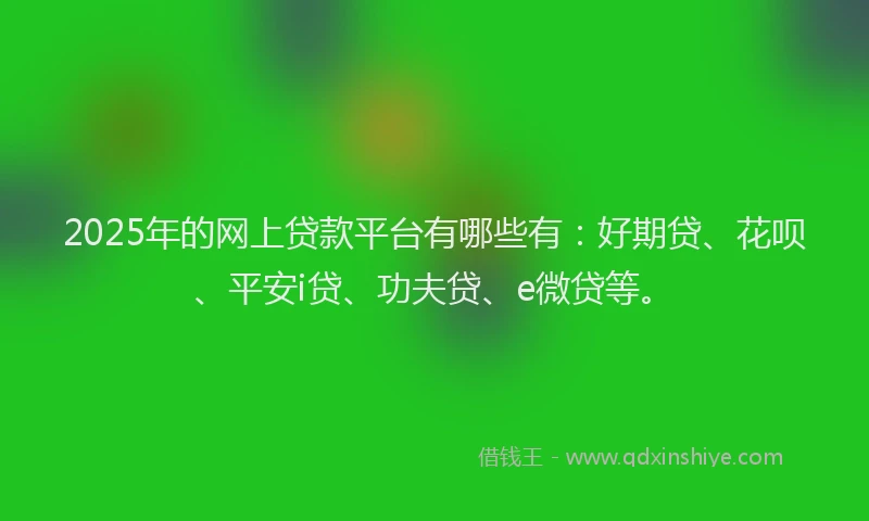 2025年的网上贷款平台有哪些有：好期贷、花呗、平安i贷、功夫贷、e微贷等。