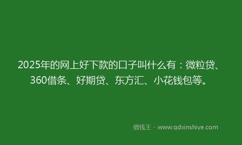 2025年的网上好下款的口子叫什么有：微粒贷、360借条、好期贷、东方汇、小花钱包等。