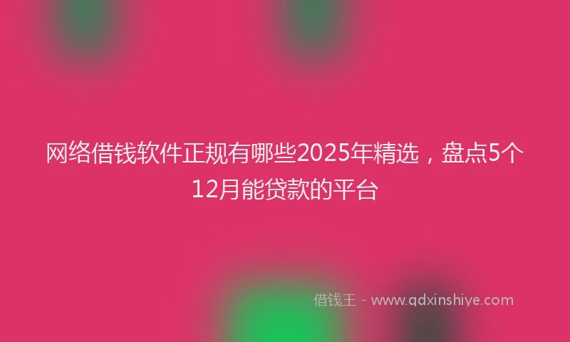 网络借钱软件正规有哪些2025年精选，盘点5个12月能贷款的平台