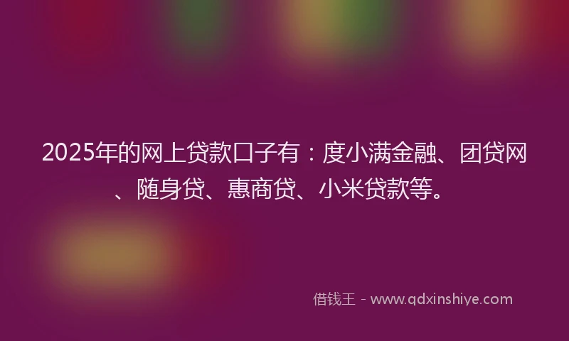 2025年的网上贷款口子有：度小满金融、团贷网、随身贷、惠商贷、小米贷款等。