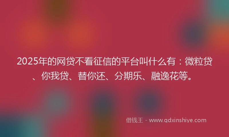 2025年的网贷不看征信的平台叫什么有：微粒贷、你我贷、替你还、分期乐、融逸花等。