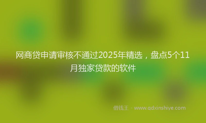 网商贷申请审核不通过2025年精选，盘点5个11月独家贷款的软件